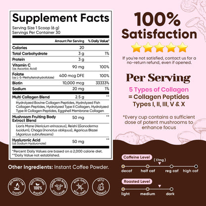 Venture Pal Mushroom Coffee, 12 Mushrooms, Focus & Digestion, 40 Servings | 12 Adaptogenic Mushrooms with Lion's Mane, Cordyceps, Reishi, Turkey Tail, Ashwagandha & Probiotics, Low Caffeine & Calories