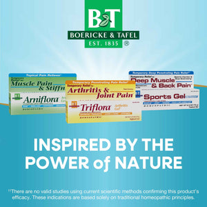 Boericke and Tafel Triflora Arthritis Gel, 2.75 Ounce