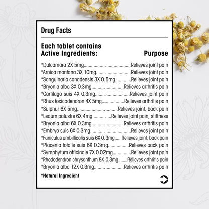 T-Relief Arthritis Arnica +12 Pain Relieving Natural Medicines Help Reduce Soreness Stiffness Aches & Pains in Joints Naturally - 100 Tablets (2 Pack) MediNaturaBuy Supplements Australia