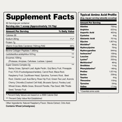 Snap Supplements Super Greens Powder with Collagen Peptides, 11.34 oz | 26 Fruits and Vegetables, Grass Fed, Non-GMO Daily Greens for Hair, Skin, Nails & Joint Support, 30 Servings, 1 Month Supply