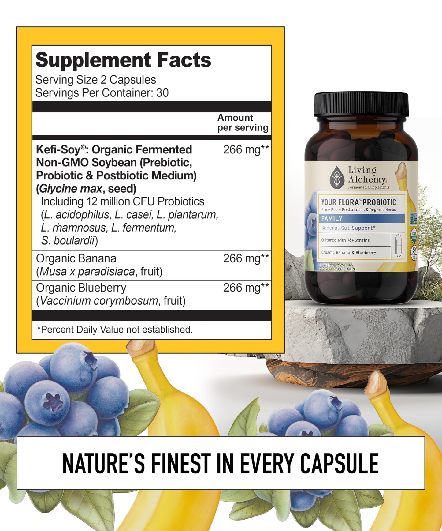 Your Flora Probiotic Family – Non-GMO Probiotics with Fermented Soybean, Banana, & Blueberry for Digestion & Gut Support – Prebiotics, Postbiotics, Digestive Enzymes – Living Alchemy, 60 Capsules Living Alchemy buy supplements Au