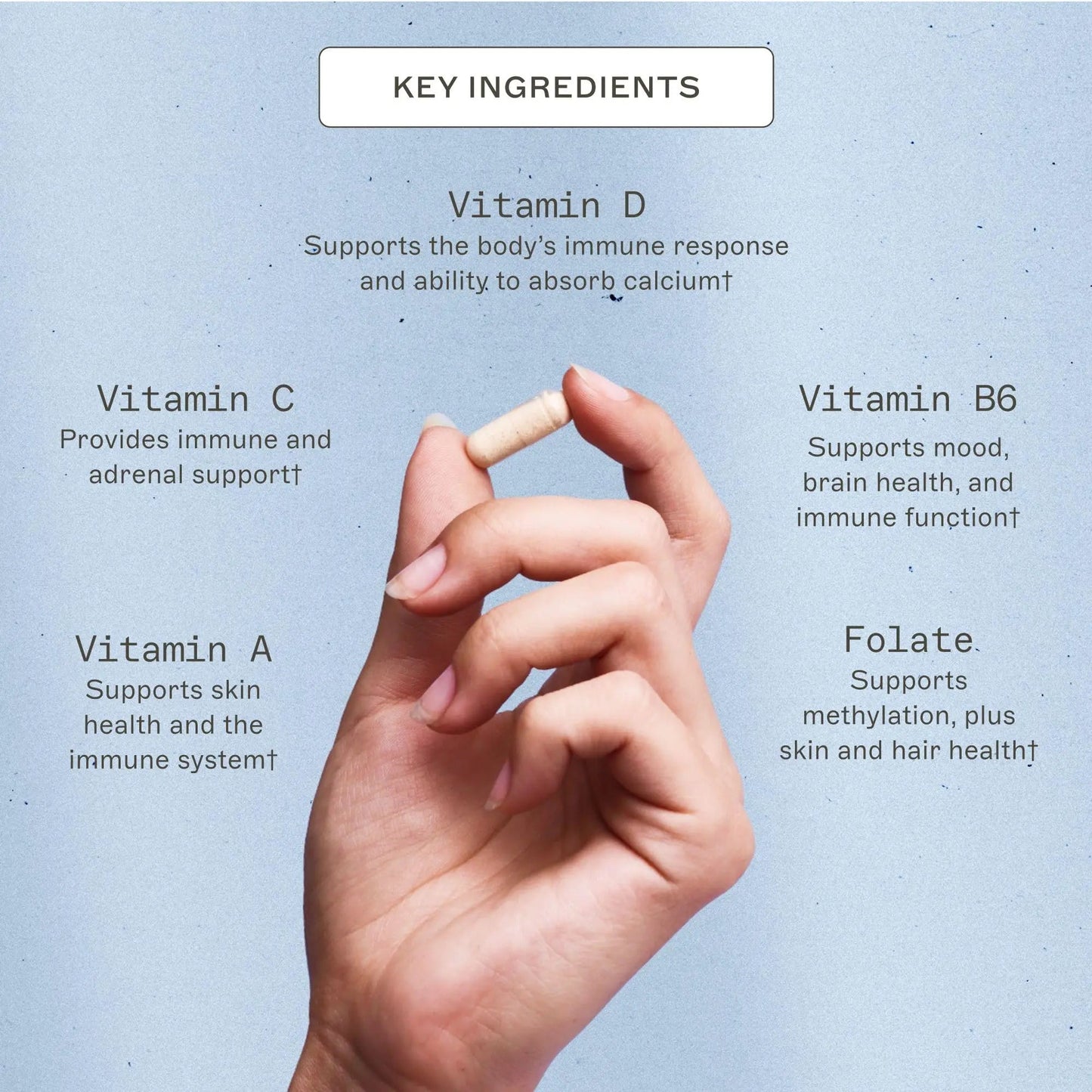 Amy Myers MD The Myers Way Multivitamin - Supports Healthy Immune, Thyroid & Adrenal Function Amy Myers MD