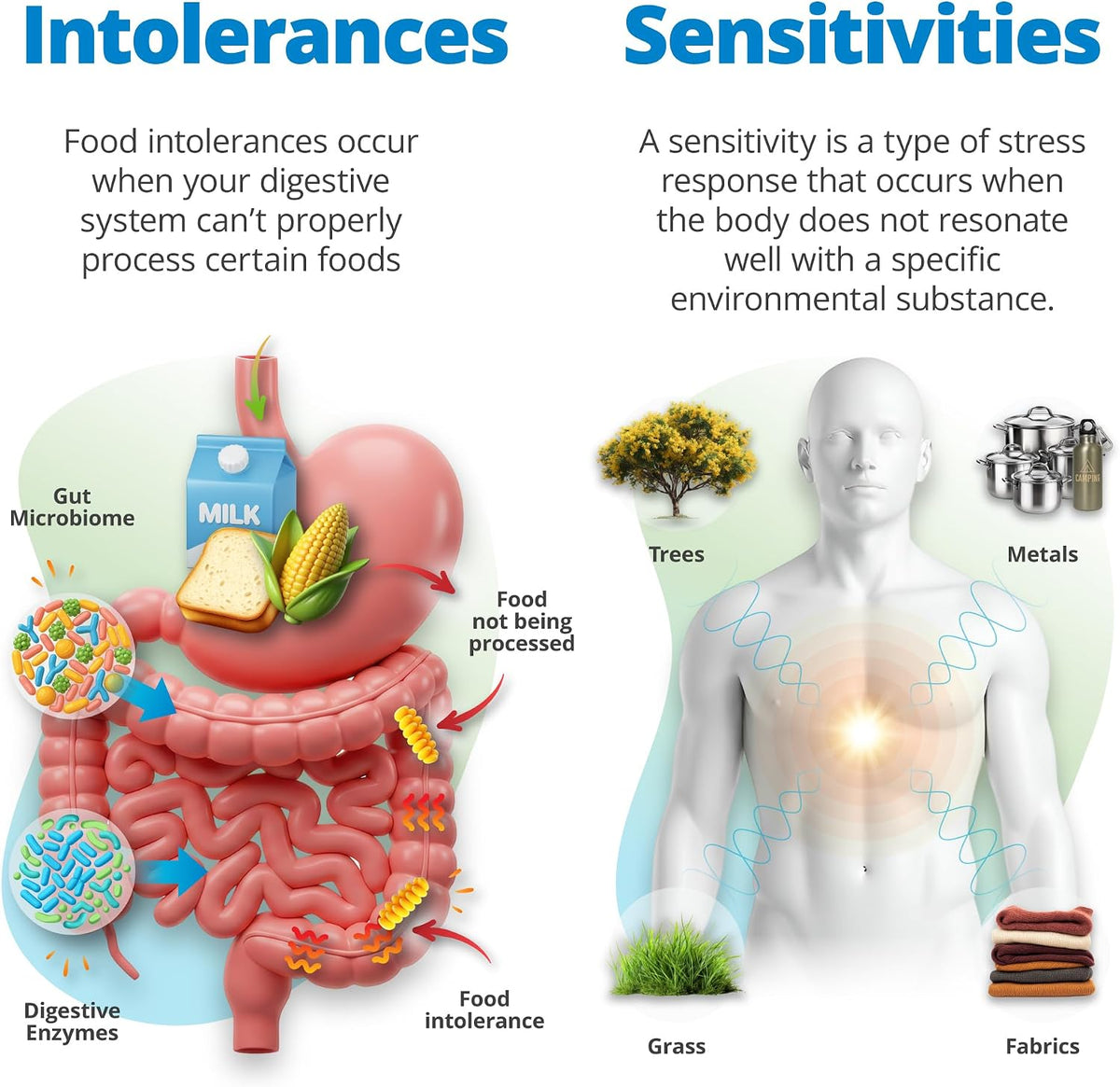 5Strands Food Intolerance & Environmental Sensitivity Test for All Ages