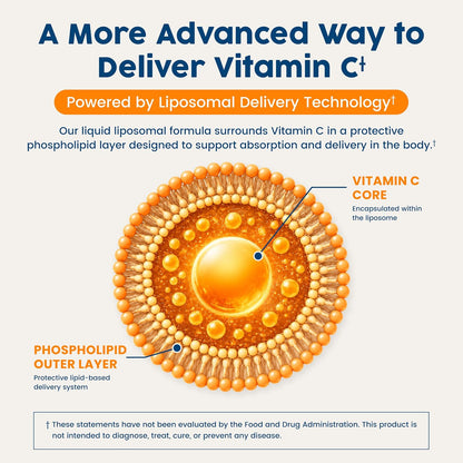 NativePath Liposomal Vitamin C 500mg, Orange, 30 Servings | From Whole-Food Amla, High Absorption Antioxidant, Supports Collagen Production, Soy-Free Liquid, Non-GMO