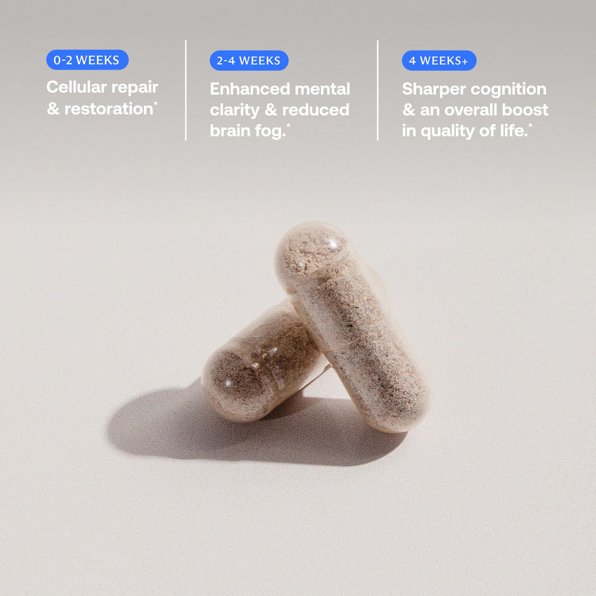 BodyBio Calm - Natural Stress Relief Blend with Rhodiola, Glycine & Phosphatidylserine - Supports Relaxation, Mental Focus & Balanced Cortisol - Non - Drowsy Formula BodyBioBuy Supplements Australia