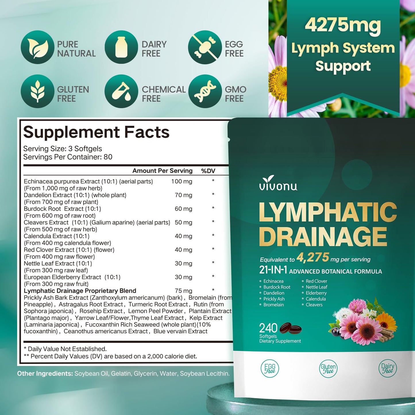 Lymphatic Drainage Supplements, 240 Softgels, Lymph System Support Supplement for Women & Men, 21-in-1 Herbal Blend with Echinacea, Dandelion, Burdock