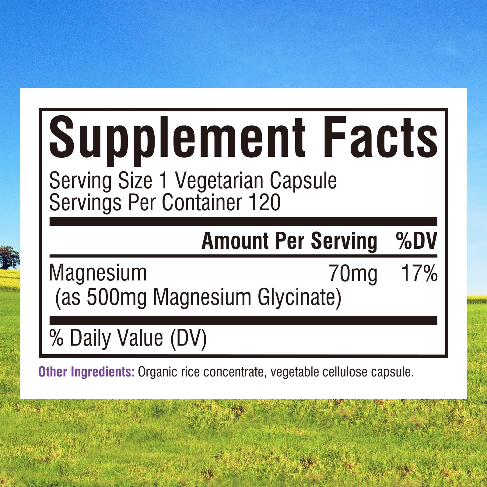 Innate Vitality Magnesium Glycinate 500mg | 70mg Elemental Magnesium Supplement - High Absorption, Non Buffered, Non-GMO & No Gluten - Vegan - Nerve Health - 120 Capsules (Pack of 1) Innate VitalityBuy Supplements Australia