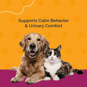 PureCat Urinary Tract Infection Care for Cat & Dog | Calming Urinary Tract & Kidney Support for Pets | Bladder Infection Treatment | UTI Drops | Veterinarian Recommended