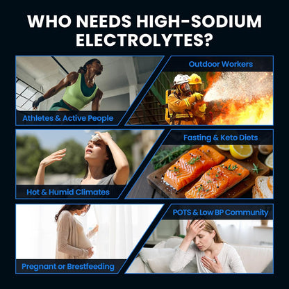 Venture Pal High Sodium Electrolyte Powder Packets | Sugar Free Hydration Drink Mix | Sodium, Magnesium, Potassium & Vitamins | Zero Calories | Keto, Vegan & Paleo Friendly | 16 Sticks