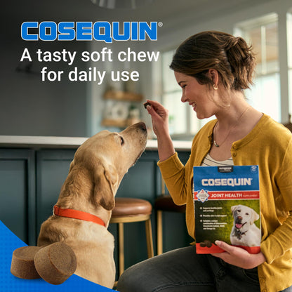 Nutramax Cosequin for Dogs Joint Health Supplement, Contains Glucosamine for Dogs, Chondroitin, MSM and Omega-3s, Supports Joint and Skin and Coat Health, Soft Chews, 60 Count Nutramax LaboratoriesBuy Supplements Australia