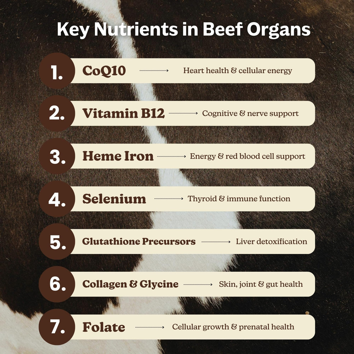 MK Supplements Grass-Fed Beef Organs Capsules | 5 Organs in Nature-Identical Ratios | B12, Copper & Heme Iron | Regeneratively Raised | 150 Capsules MK SupplementsBuy Supplements Australia
