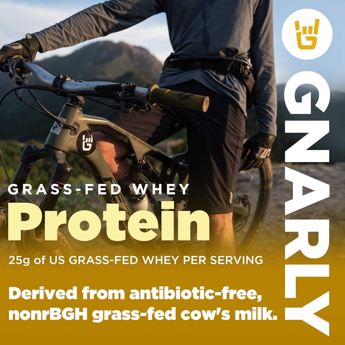 Gnarly Nutrition Creatine Powder, Unflavored (16.05oz) and Gnarly Whey Grass-Fed Protein Supplement, Chocolate (32.0oz)