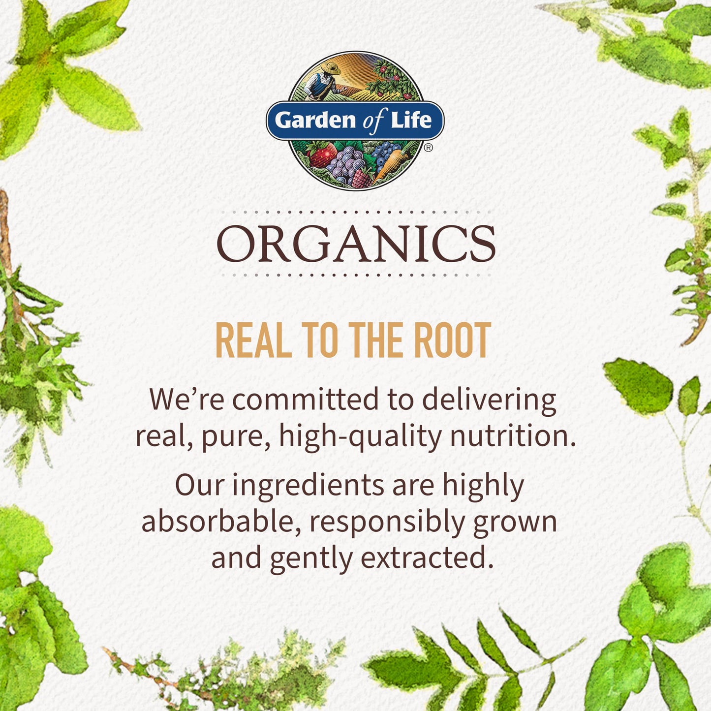 Garden of Life Organics Extra Strength Turmeric Inflammatory Response 120 Tablets-100Mg Curcumin (95% Curcuminoids) Black Pepper, Probiotics, Organic Non-GMO Vegan Gluten Free Herbal Supplement Garden of LifeBuy Supplements Australia