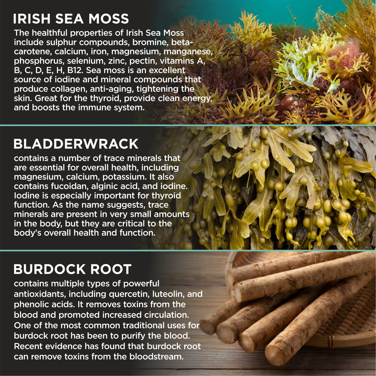 HerbaMe Organic Irish Sea Moss with Bladderwrack, Burdock Root & Black Pepper Extract, 150 Capsules, Thyroid Support, Natural Iodine Source, Promotes Immune System, Cell Food, Alkaline Supplement HerbaMe buy supplements Au