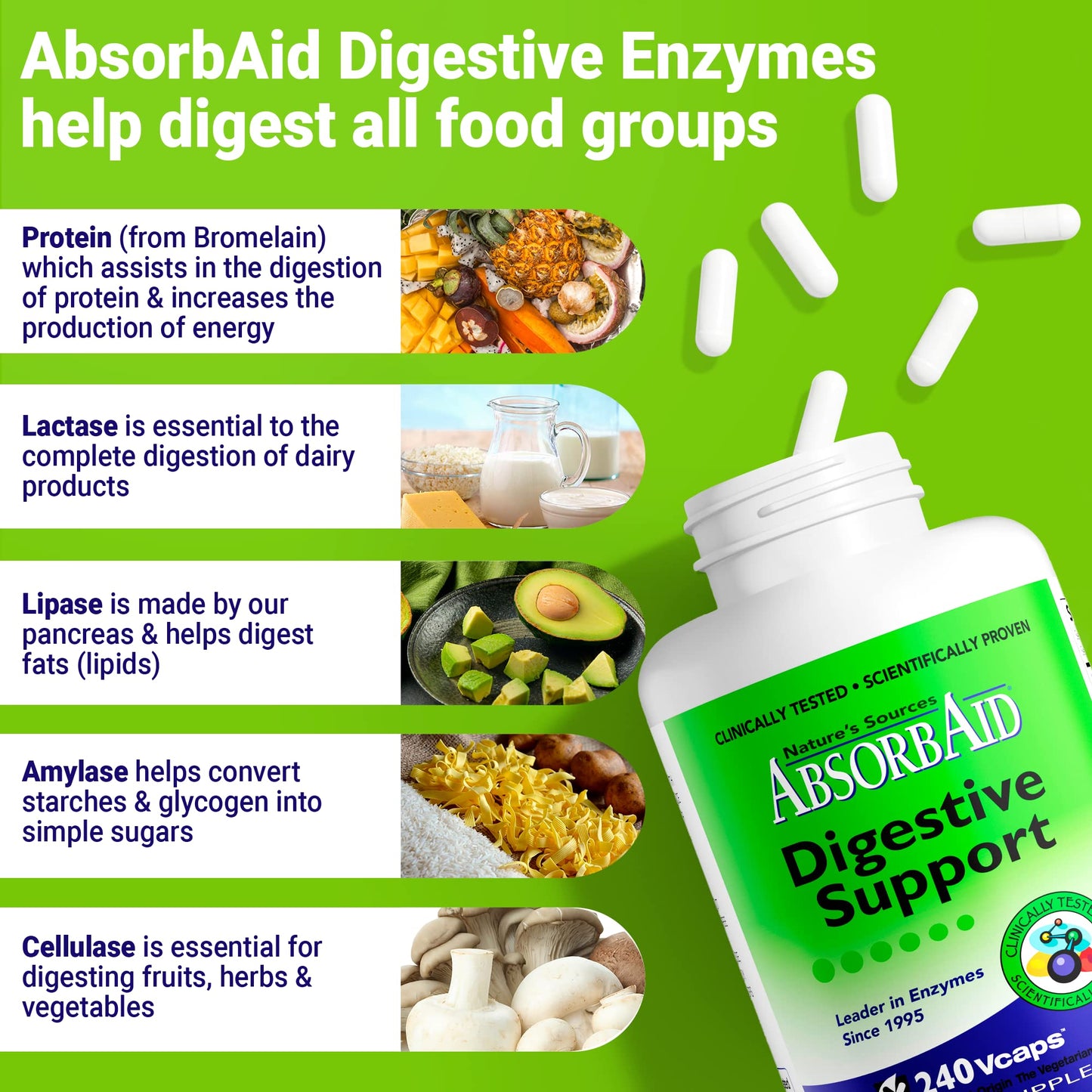 AbsorbAid Digestive Enzymes 240 vCaps, Proven to Increase Vital Nutrient Absorption by up to 71% - PrimeBioHealth - canada supplements