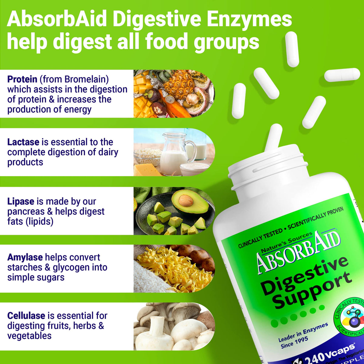AbsorbAid Digestive Enzymes 240 vCaps, Proven to Increase Vital Nutrient Absorption by up to 71% - PrimeBioHealth - canada supplements