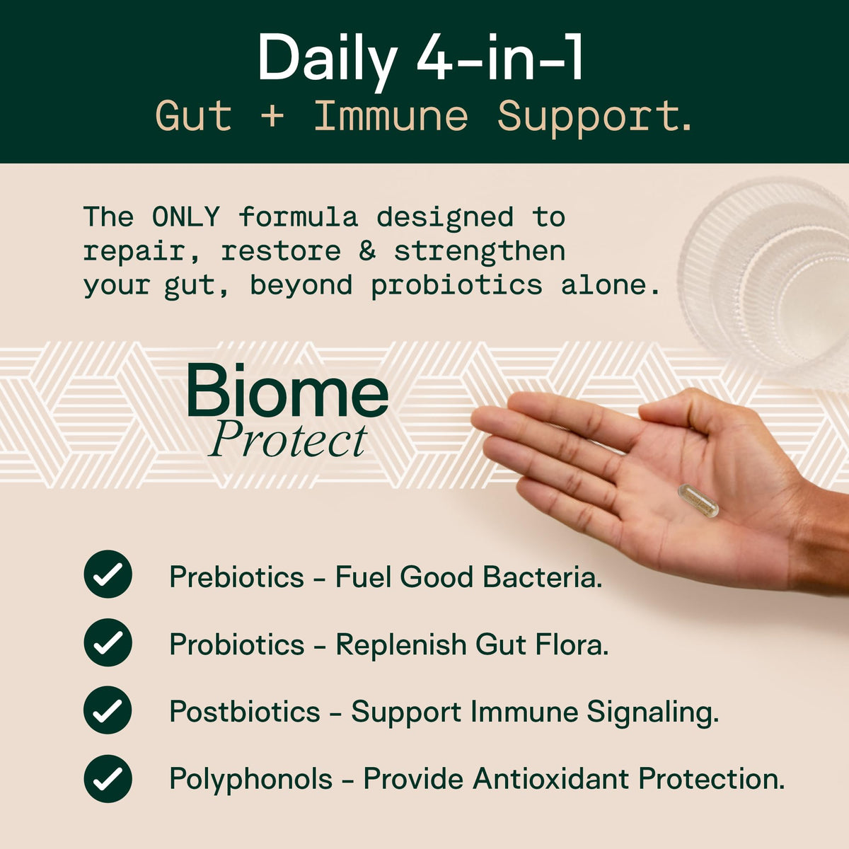 Adapt Naturals 4-in-1 Biome Protect Prebiotics, Probiotics Supplement Postbiotics & Polyphenols for Microbiome, Gut Health & Defense for Women & Men, 30 Day Supply - PrimeBioHealth - canada supplements