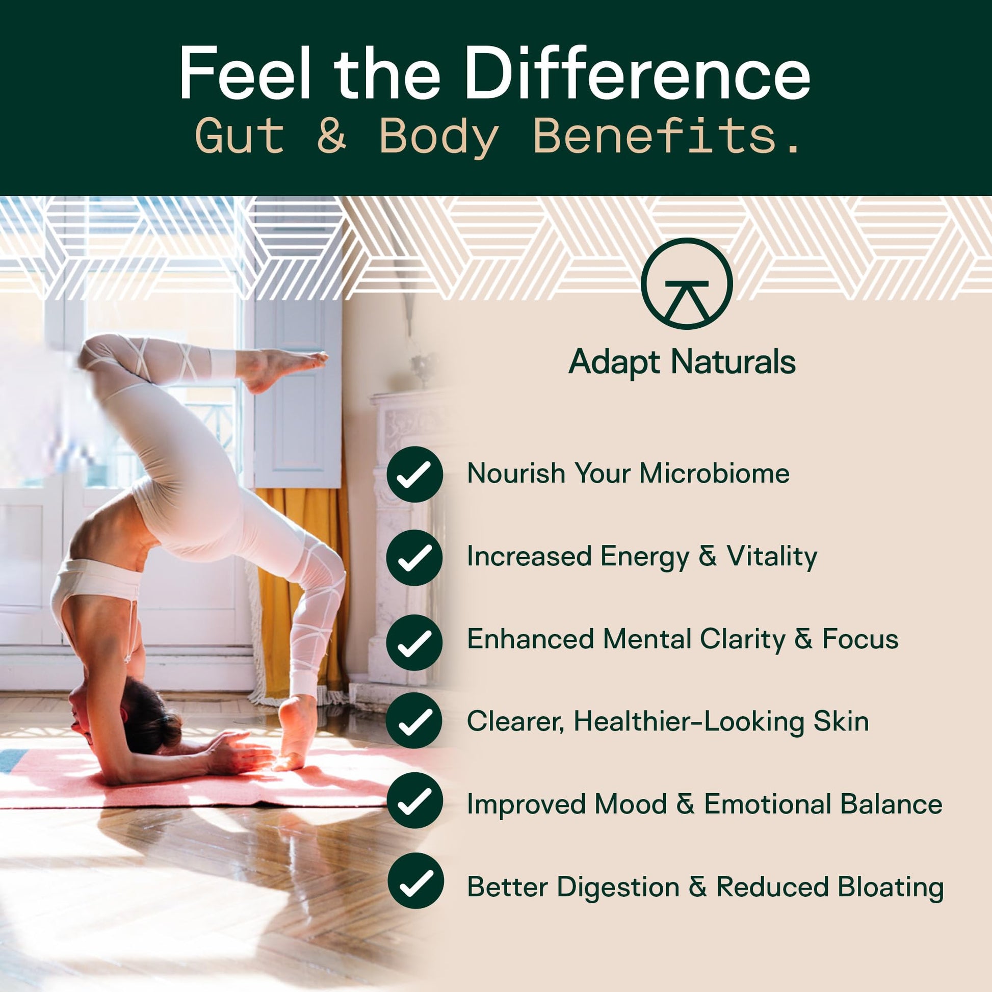 Adapt Naturals 4-in-1 Biome Protect Prebiotics, Probiotics Supplement Postbiotics & Polyphenols for Microbiome, Gut Health & Defense for Women & Men, 30 Day Supply - PrimeBioHealth - canada supplements