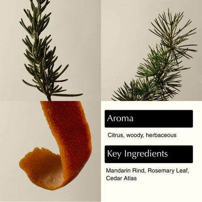 Aesop Resurrection Aromatique Hydrating Hand Wash | Gentle Non-Drying Hand Soap with Mandarin Rind, Rosemary, & Lavender - PrimeBioHealth - canada supplements