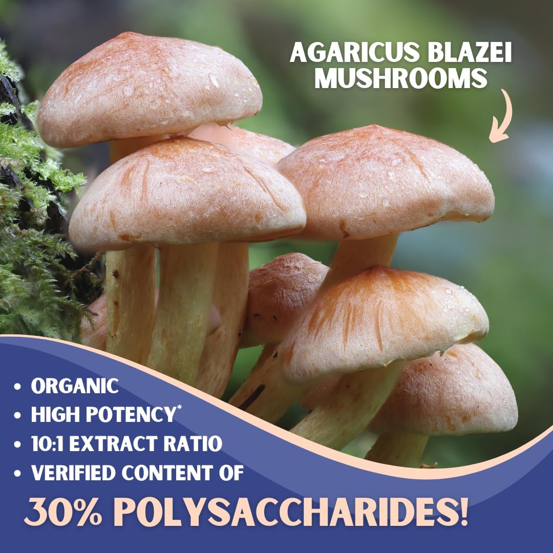 Agaricus Blazei Organic Mushroom Extract for Immune & Energy Support - 30% Polysaccharides & 180 Veggie Capsules - Non-GMO, Gluten-Free, Vegan-Friendly Supplement - PrimeBioHealth - canada supplements