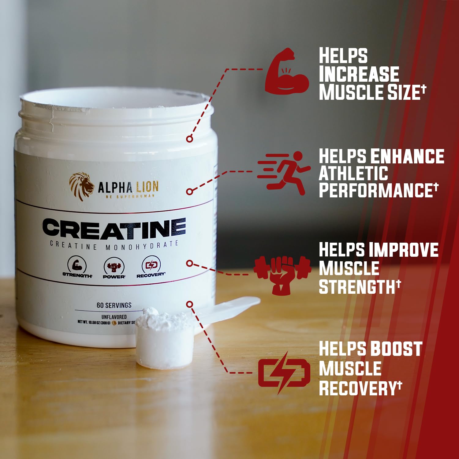 ALPHA LION Creatine Monohydrate Powder, 5000mg Per Serving (5g), Supports Muscle Strength, Power, Athletic Performance, Pure Creatina Monohydrata - PrimeBioHealth - canada supplements