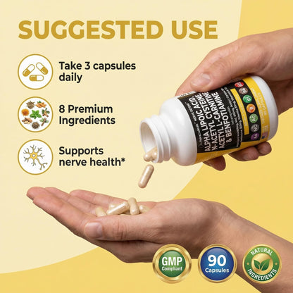 Alpha Lipoic Acid 600mg N-Acetyl Cysteine 600mg Acetyl L-Carnitine 500mg Benfotiamine 300mg - Nerve Support Supplement for Women and Men - PrimeBioHealth - canada supplements