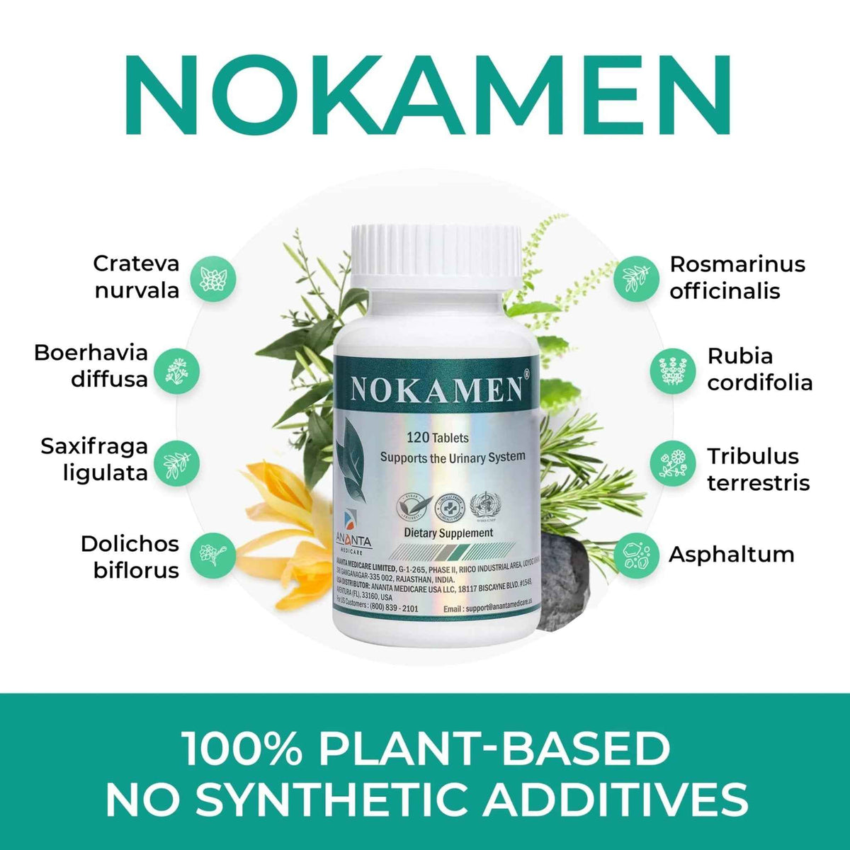 Ananta Medicare USA NOKAMEN – Kidney & Urinary Tract Support Herbal Formula, 120 Tabs