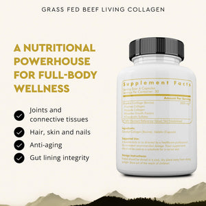 Ancestral Supplements Grass Fed Beef Living Collagen Nutritional Powder Supplement, 3000mg, Promotes Healthier, Younger Looking Skin, Hair - PrimeBioHealth - canada supplements