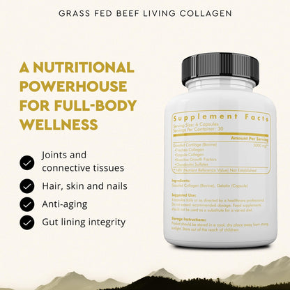Ancestral Supplements Grass Fed Beef Living Collagen Nutritional Powder Supplement, 3000mg, Promotes Healthier, Younger Looking Skin, Hair - PrimeBioHealth - canada supplements