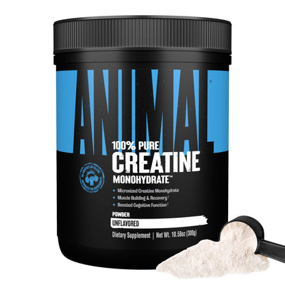 Animal Creatine Monohydrate Powder — Micronized for Muscle Recovery, Cellular Energy, and Daily Wellness — for Men and Women - PrimeBioHealth - canada supplements