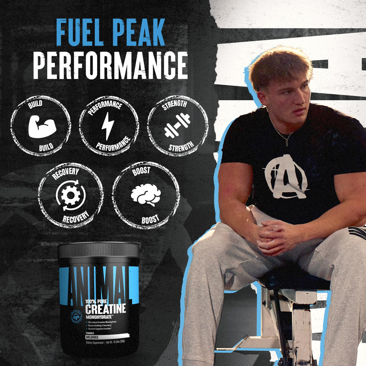 Animal Creatine Monohydrate Powder — Micronized for Muscle Recovery, Cellular Energy, and Daily Wellness — for Men and Women - PrimeBioHealth - canada supplements