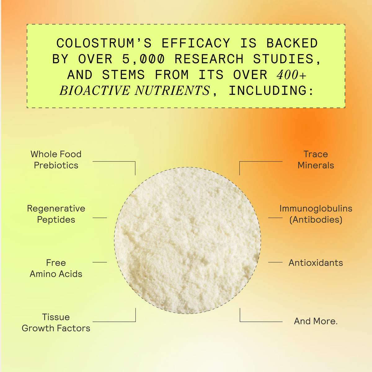 ARMRA Colostrum Powder | Vine Watermelon | Gut Health & Bloating | Skin & Hair | Immunity | Keto, Gluten & Fat-Free | 30 Servings - PrimeBioHealth - canada supplements