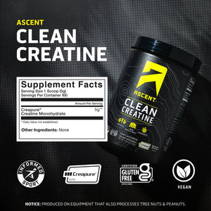 Ascent Clean Creatine Monohydrate Powder - 5G Per Serving, Creapure Creatine Supplement - Unflavored, 100 Servings - PrimeBioHealth - canada supplements