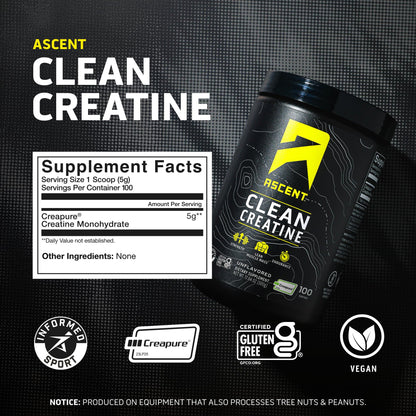 Ascent Clean Creatine Monohydrate Powder - 5G Per Serving, Creapure Creatine Supplement - Unflavored, 100 Servings - PrimeBioHealth - canada supplements