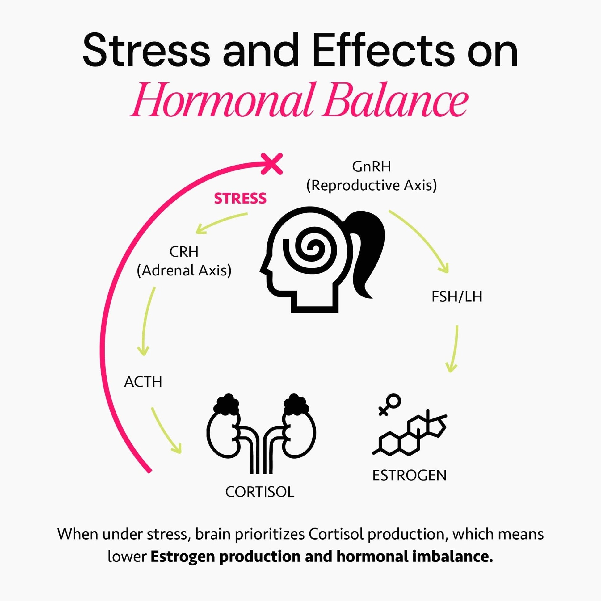 Ayurvedic Hormone Balance for Women | Cortisol Reducer | Mood, Energy, & Sleep Support | Regulates Estrogen | Stress Relief | Ashwagandha, Rhodiola, & Shatavari - PrimeBioHealth - canada supplements
