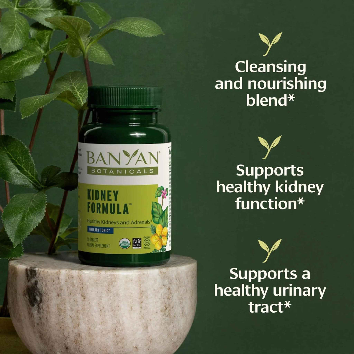 Banyan Botanicals Organic Kidney Formula–Urinary Tract Support & Detox Supplement–Gokshura & Punarnava for Fluid Balance & Systemic Cleansing–Cooling Genitourinary Tonic-90 Tablets-USDA Organic