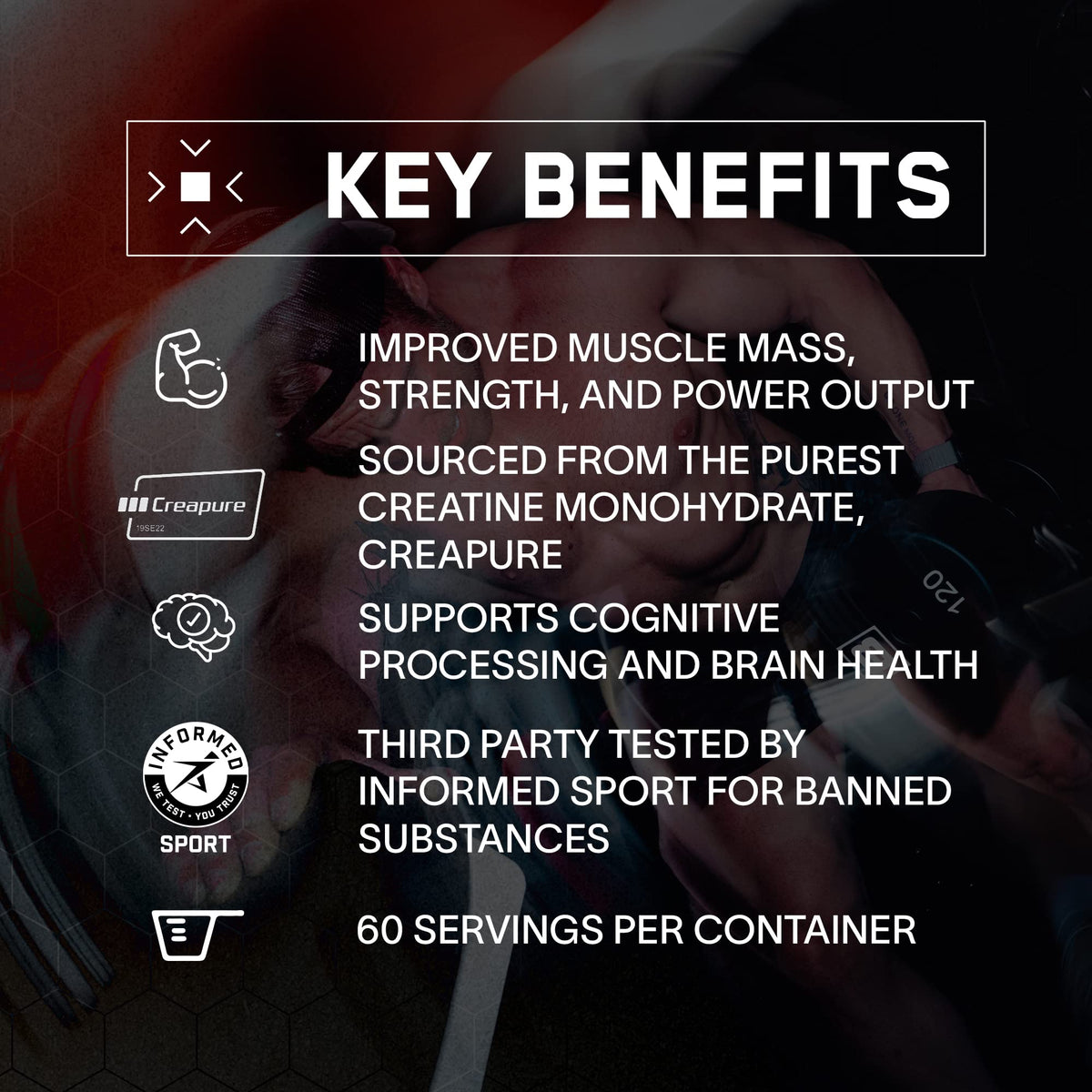 BARE PERFORMANCE NUTRITION, BPN Pure Creatine Monohydrate Powder by Creapure, 5g of Creatine per Serving, Supports Muscle Growth - PrimeBioHealth - canada supplements