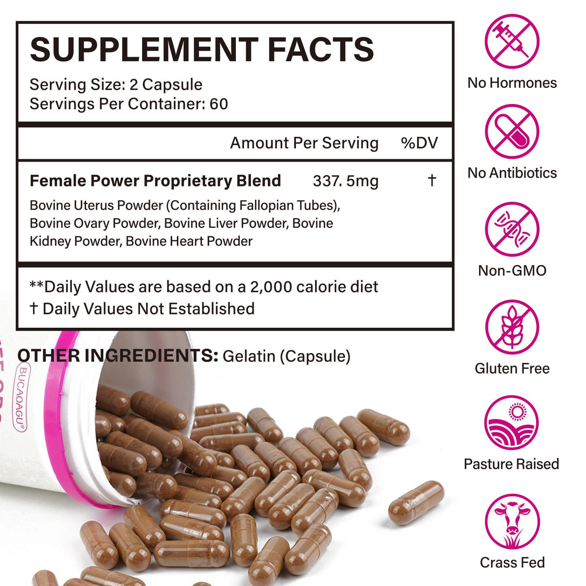Beef Organ Supplement for Women - Grass-Fed Beef Liver, Kidney, Heart, Uterus, Ovary - Supports Female Energy & Hormone Balance - Pasture Raised in New Zealand - PrimeBioHealth - canada supplements