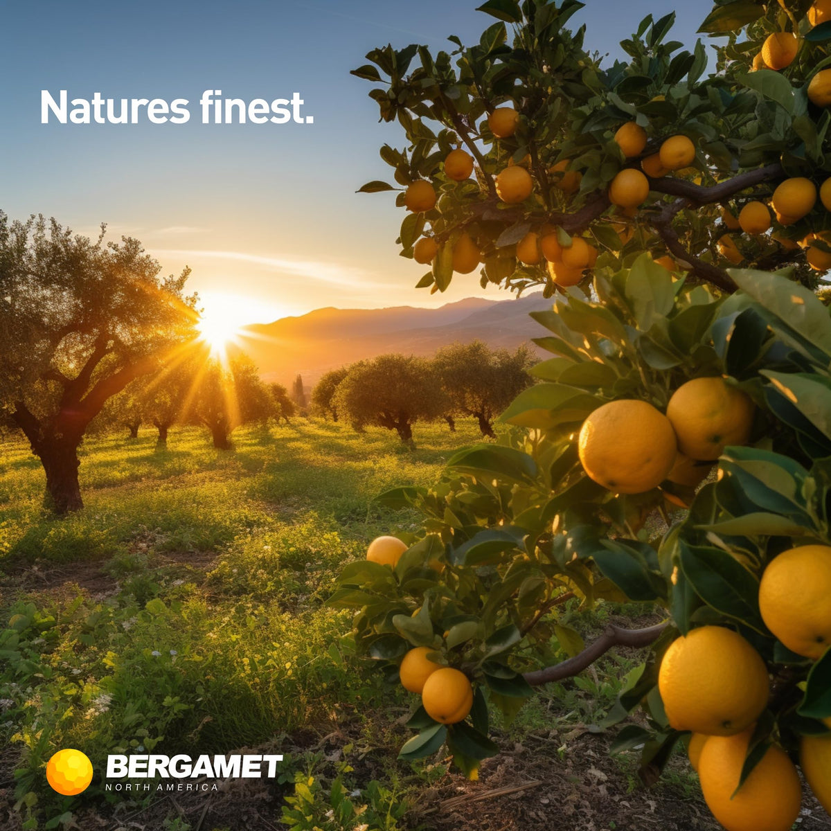 BergaMet Citrus Bergamot Supplement, 170:1 Extract, 1200mg per Serving, 80% Polyphenols, Italian Citrus Bergamot Supplement, - PrimeBioHealth - canada supplements