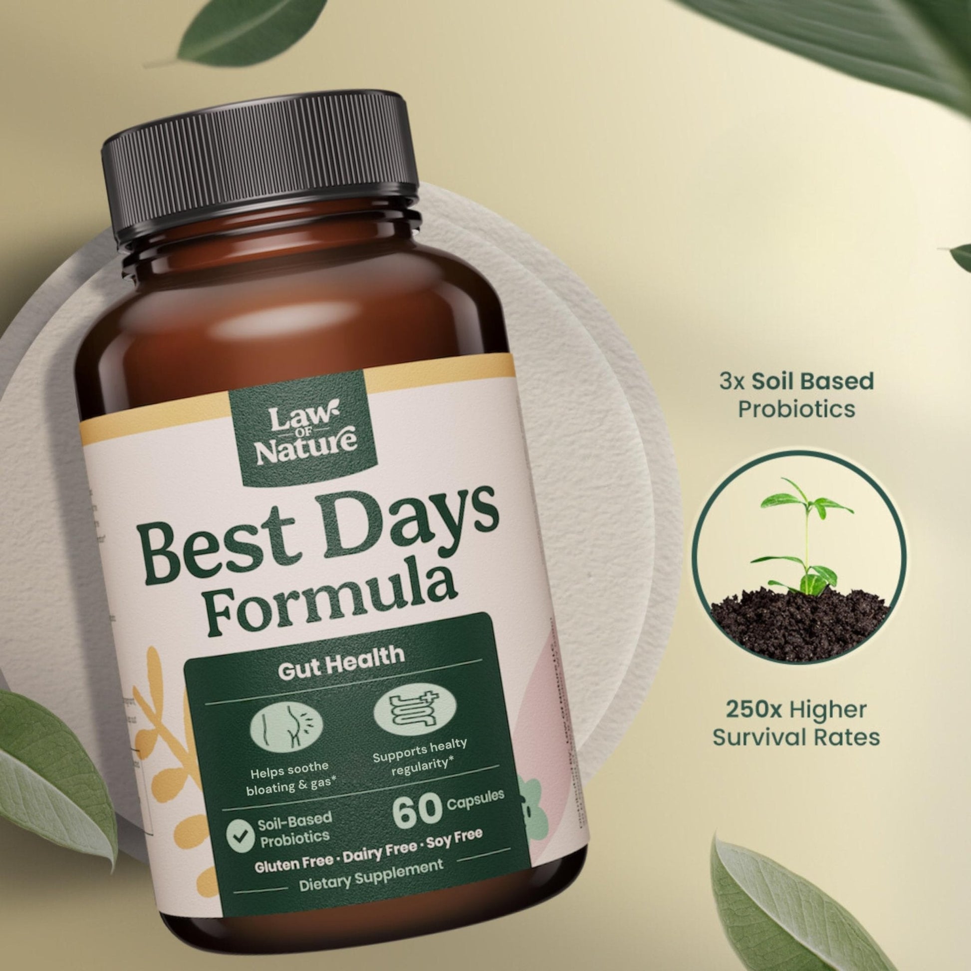 Best Days Formula | Advanced 5-in-1 Gut Support for Bloating, Gas & Irregularity | Soil-Based Probiotics + Prebiotics, L-Glutamine, Aloe Vera & More | 60 Capsules - PrimeBioHealth - canada supplements
