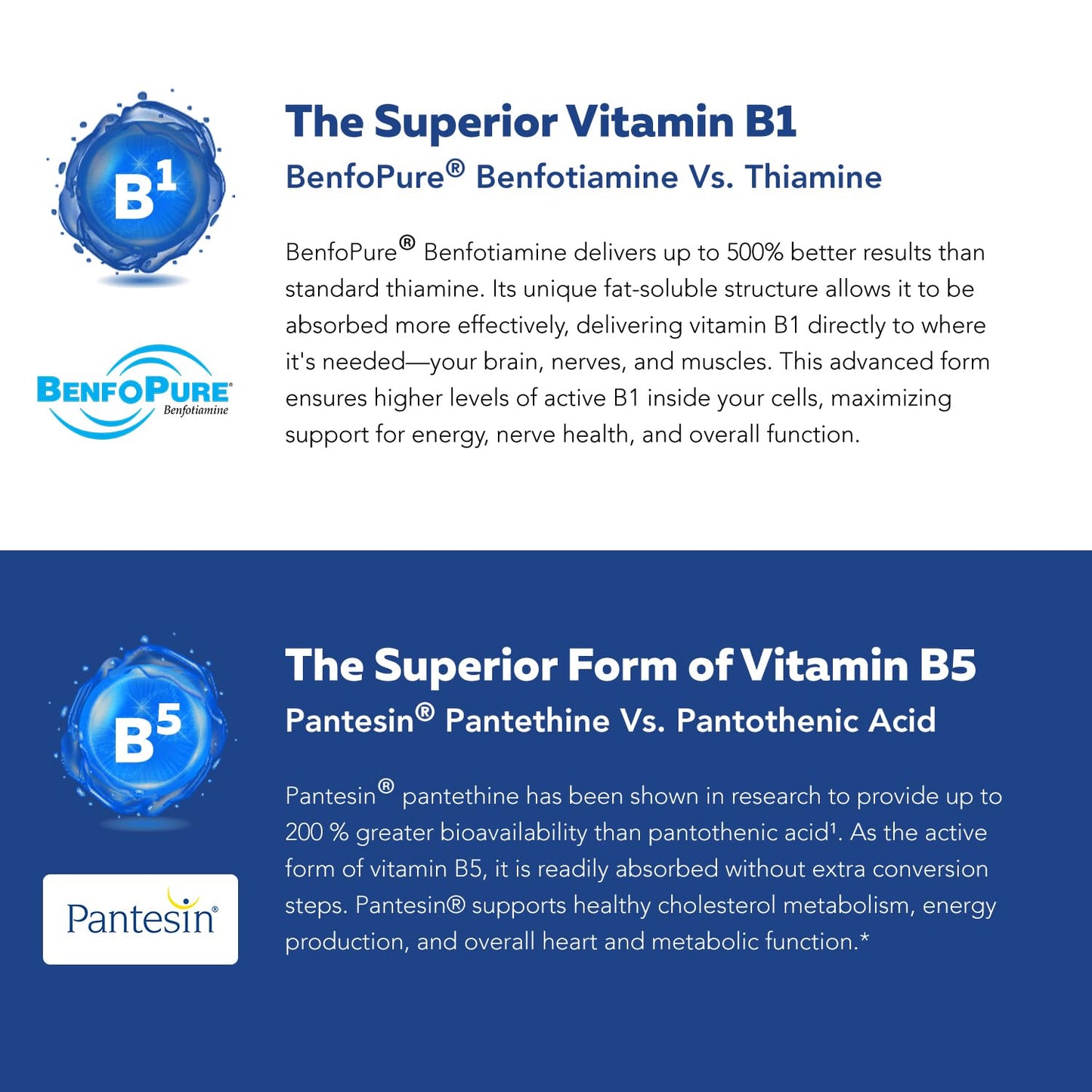 BioActive Vitamin B Complex - Blood Stream Ready, Methylated B Complex - Featuring Methylfolate, 3 BioActive Forms of B12, BenfoPure® B1 & Pantesin® B5 - 12 B Vitamins in Clinical Doses - 60 Servings - PrimeBioHealth - canada supplements