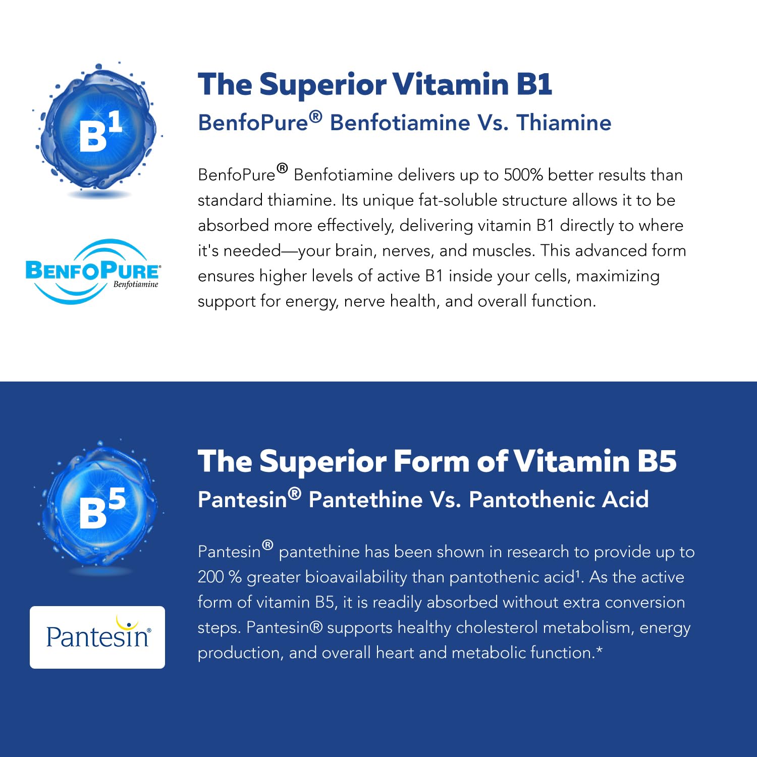BioActive Vitamin B Complex - Blood Stream Ready, Methylated B Complex - Featuring Methylfolate, 3 BioActive Forms of B12, BenfoPure® B1 & Pantesin® B5 - 12 B Vitamins in Clinical Doses - 60 Servings - PrimeBioHealth - canada supplements