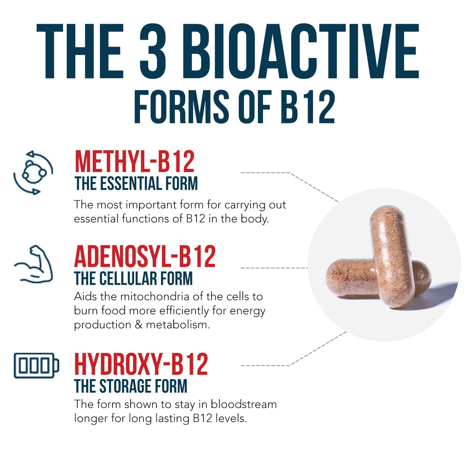BioActive Vitamin B12 - 5000 mcg, Contains 3 BioActive Forms B12 Plus Methylfolate Cofactor - Methyl B12, Adenosyl B12 & Hydroxy B12 | Supports Energy - PrimeBioHealth - canada supplements