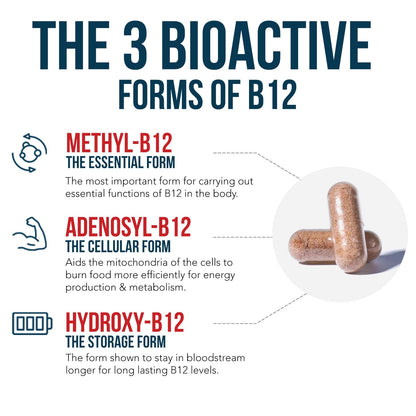 BioActive Vitamin B12 - 5000 mcg, Contains 3 BioActive Forms B12 Plus Methylfolate Cofactor - Methyl B12, Adenosyl B12 & Hydroxy B12 | Supports Energy - PrimeBioHealth - canada supplements