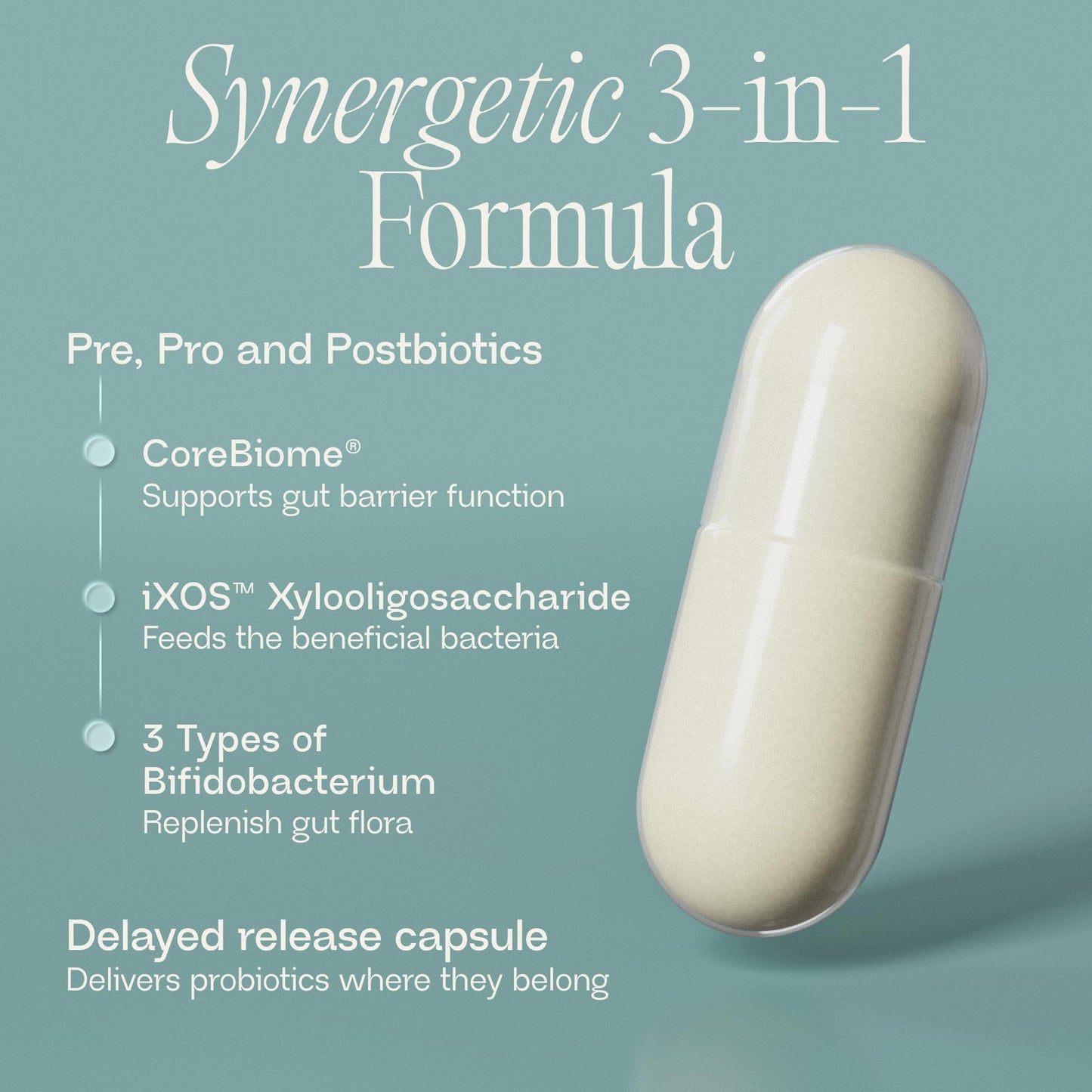 BIOMA Probiotics - Digestive Health Probiotic - Gut Support for Men & Women with Xylooligosaccharides, Tributyrin & Bifidobacterium - Vegan & Gluten Free - PrimeBioHealth - canada supplements