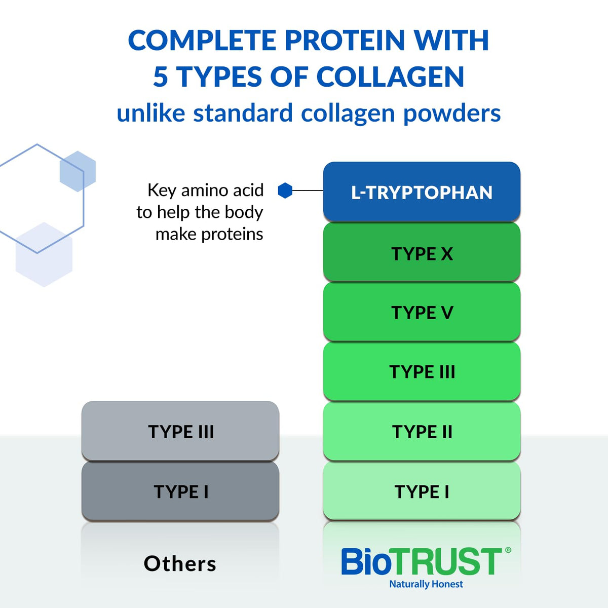 BioTrust Ageless Multi Collagen Peptides Powder - 5 Types (I, II, III, V, X) - Unflavored Collagen Powder for Women & Men - Hydrolyzed Protein - PrimeBioHealth - canada supplements