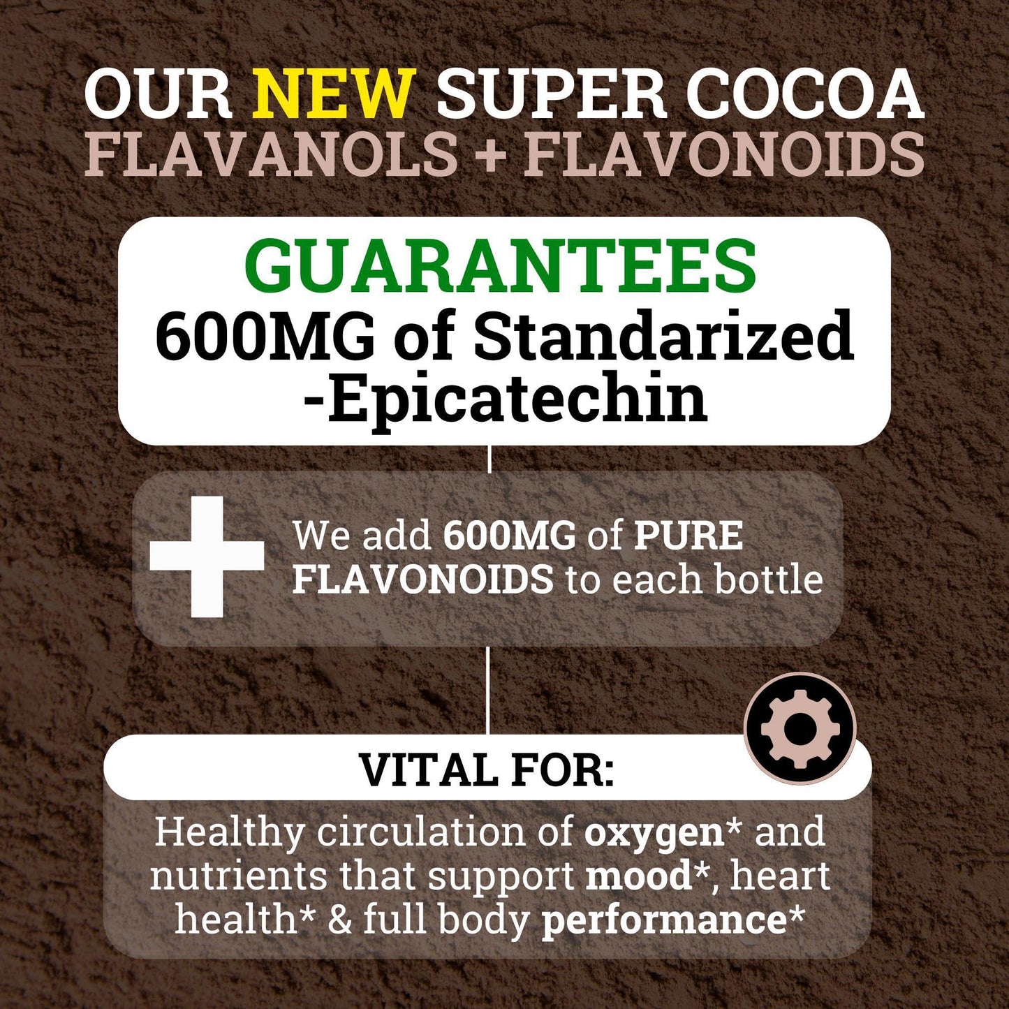 Black Forest High Flavanol Cocoa Powder (1200mg Flavanols & Flavonoids Supplements)10X More Flavanols (Epicatechin) Than Cocoa & 600mg of Epicatechin Supplement - PrimeBioHealth - canada supplements