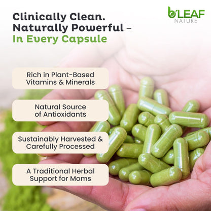 B'Leaf Nature Moringa Capsules Organic 1000mg — Pure Moringa Oleifera Leaf Powder Capsules for Energy & Immune Support - PrimeBioHealth - canada supplements