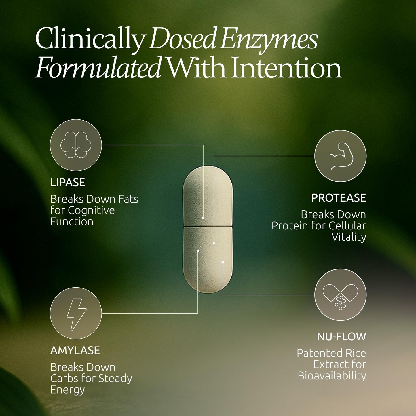 Boulder Bio Digestive Enzymes | 40,000 USP Lipase - Prescription Strength Pancreatic Enzyme Replacement Formula for Fat Digestion, Gut Health & Nutrient Absorption - PrimeBioHealth - canada supplements