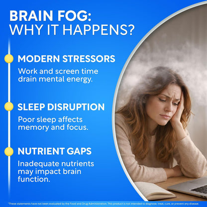 Brain Fog Supplement for Women – Memory & Focus Support for Perimenopause and Menopause – Cognitive Support with Phosphatidylserine, CognatiQ & L-Theanine – Brain Health Capsules – 60 Count - PrimeBioHealth - canada supplements